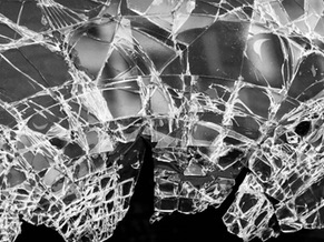 Windshield