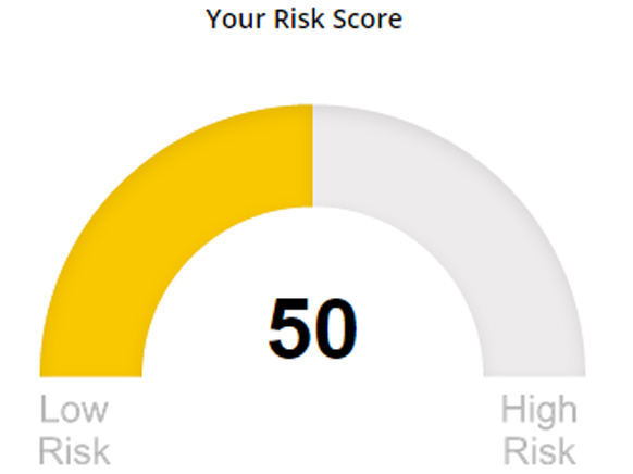 ID Risk Compass Tool